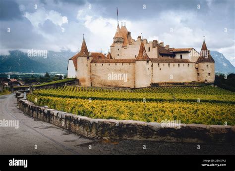 Vigneti e castello vinicolo a Bordeaux