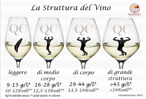 Infografica che illustra la scala di percezione del grado alcolico nel vino