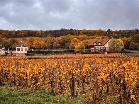 Vigneti della Borgogna con il Clos de Vougeot