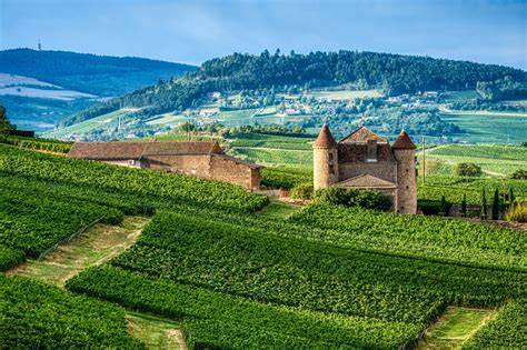 Paesaggio di vigneti in Borgogna