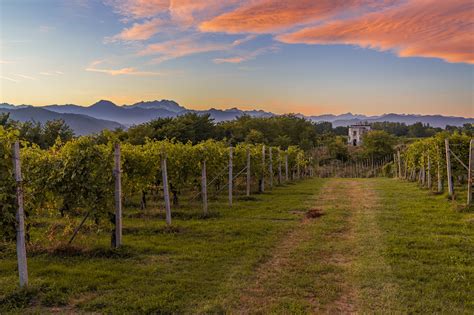 Panorama delle Colline Novaresi con vigneti