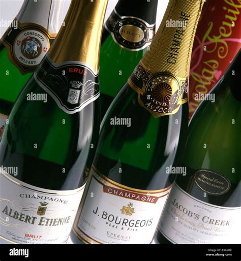 diverse bottiglie di champagne