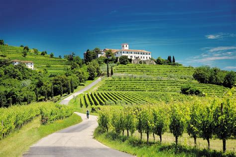 Vigneti terrazzati del Friuli Venezia Giulia