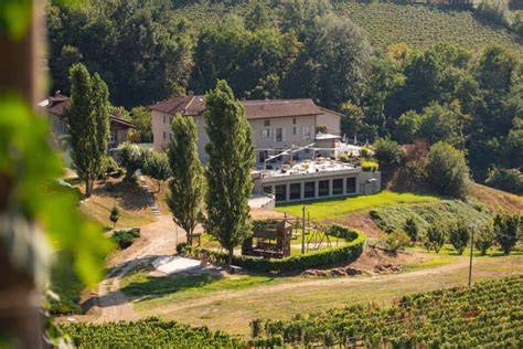 Interno accogliente dell'enoteca con vista sui vigneti