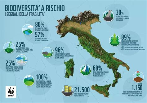 Diagramma che illustra i benefici dei vitigni resistenti (riduzione trattamenti chimici, maggiore resilienza climatica, miglioramento biodiversità)