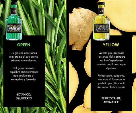 Illustrazione di diverse botaniche utilizzate nella produzione del gin