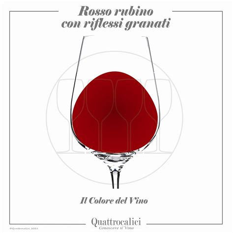 Bicchiere di Amarone con riflessi granati