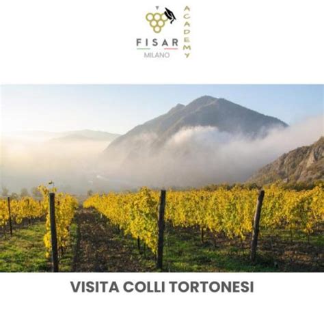 Vigneti sui Colli Tortonesi