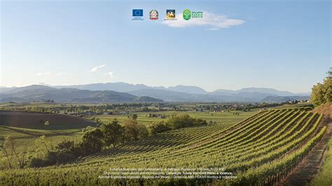 Panorama di Castione Andevenno con vigneti