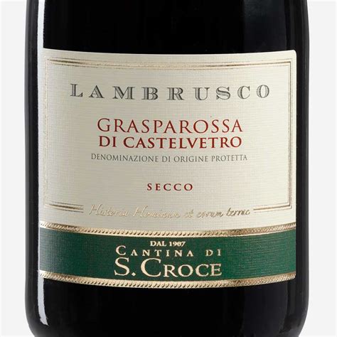 Vigneto di Lambrusco a Castelvetro