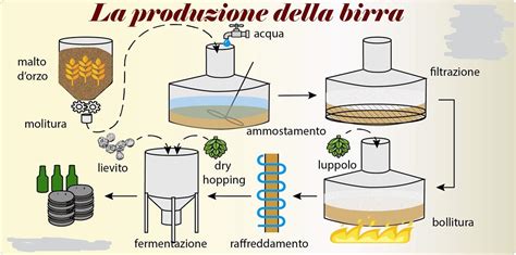 Schema del processo di produzione della birra artigianale