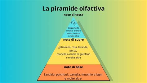 Schema delle note aromatiche di un vino bianco