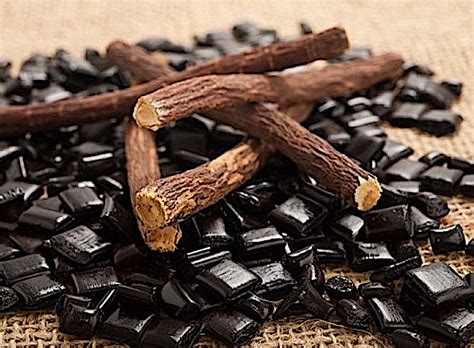 Piantagione di liquirizia in Calabria