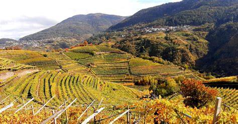 Paesaggio della Valle del Rodano con vigneti terrazzati