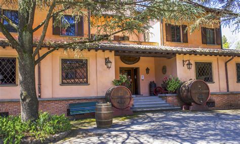 Fattoria del Teso vineyards and olive trees