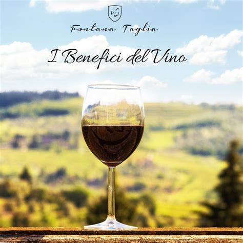 Infografica che confronta i benefici del vino rosso con altre fonti di antiossidanti