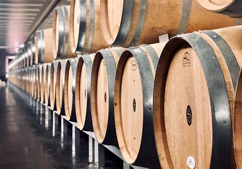 Dettaglio interno di una barrique con doghe di rovere