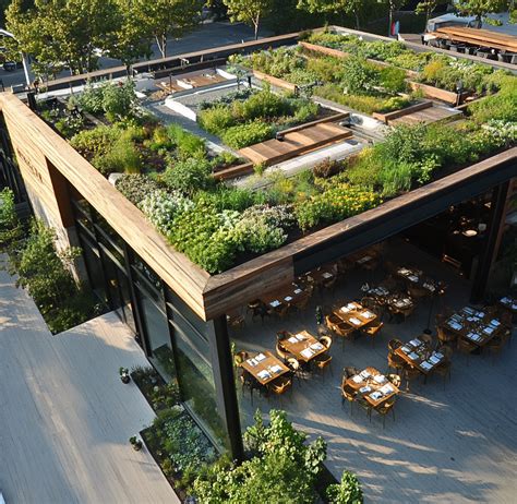 Cantina moderna con tetto verde