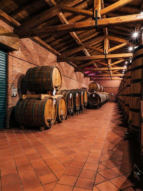 Tini di rovere in una cantina