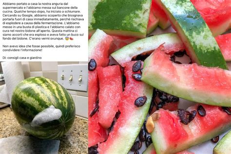 Anguria svuotata piena di frutta