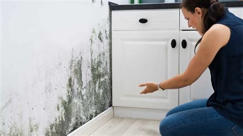 Umidità in casa che causa muffa sui vestiti