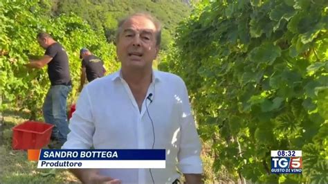 Sandro Bottega in una vigna