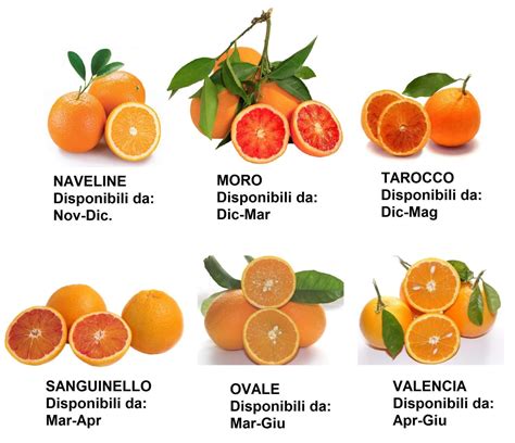 varietà di lime e arance
