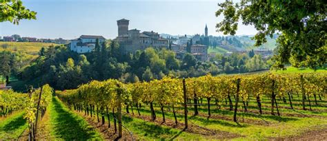 Vigneti della regione di Cognac