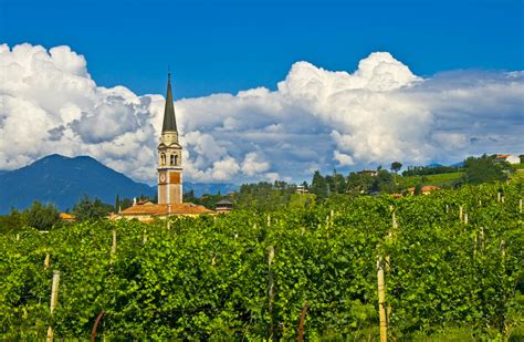 Panorama di Breganze con vigneti
