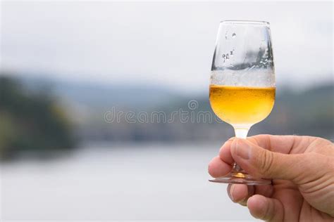 Bicchiere di Porto Bianco con guarnizione di agrumi