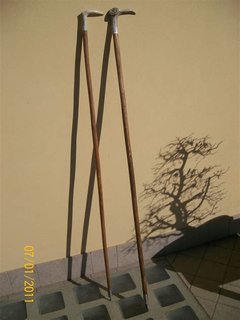 Alpenstock con punta di ferro e piccola accetta