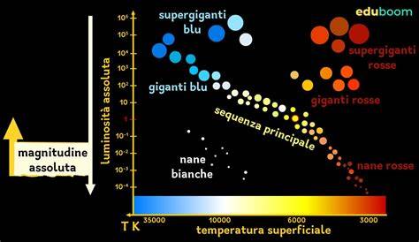 Diagramma che mostra l'evoluzione aromatica del Syrah