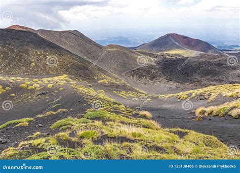 Paesaggio vulcanico dell'Etna con alberi da frutto