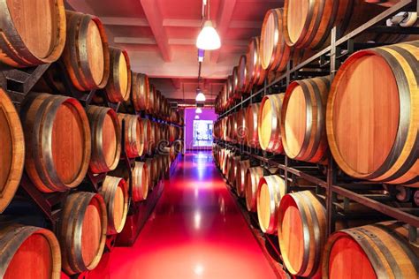 Interno di una cantina con botti di legno