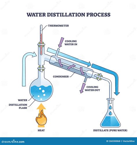 Diagramma che illustra i processi di infusione, distillazione e percolazione