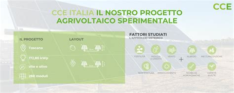 Diagramma che illustra i benefici dell'agrivoltaico per la vite