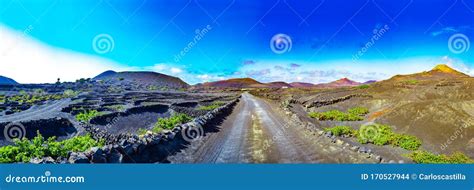 Paesaggio vulcanico con vigneti