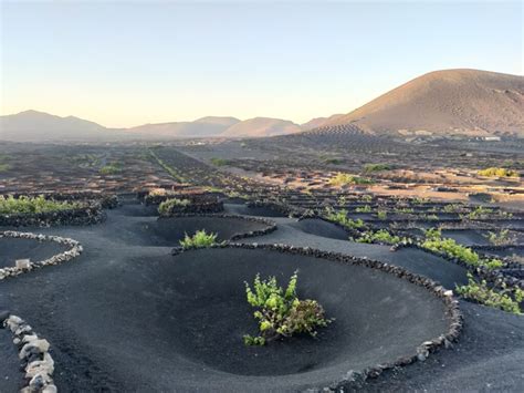 Paesaggio de La Geria a Lanzarote