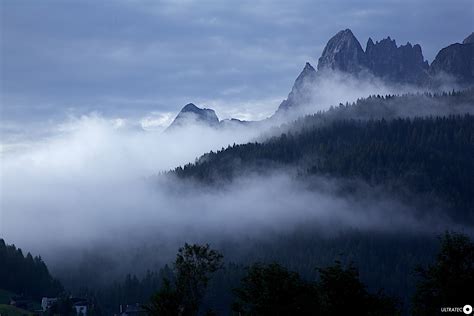 Vigneti di Tokaj con nebbia mattutina