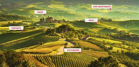 Paesaggio collinare del Soave