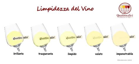 Particelle di lievito in sospensione nel vino