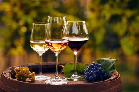 Vino Prosecco in un calice
