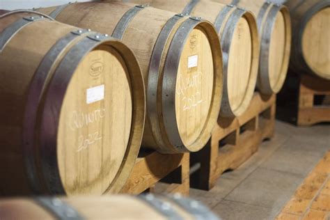 Barrique in una cantina