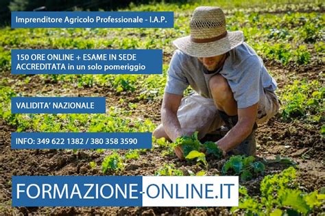 Imprenditore agricolo che lavora in vigna