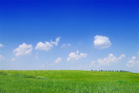 Paesaggio collinare del Pajottenland con campi verdi e cielo azzurro