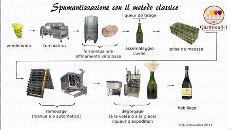 Schema del metodo tradizionale di produzione di spumante