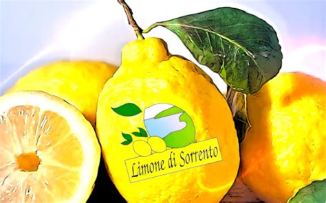 Primo piano di un Limone di Sorrento IGP
