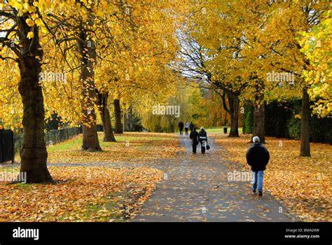 Persone che camminano in un parco