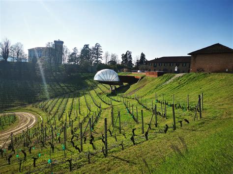 Architettura moderna di una cantina vinicola integrata nel paesaggio