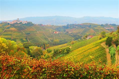 Paesaggio vitivinicolo delle Langhe